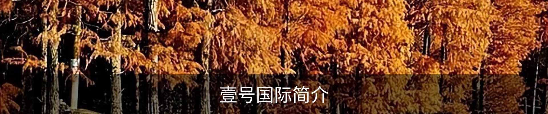 壹号国际简介